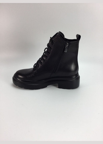 Жіночі зимові черевики Stepter (305696344)