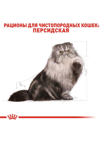 Сухой корм Persian Adult для кошек породы Персидская 2 кг Royal Canin (286472639)