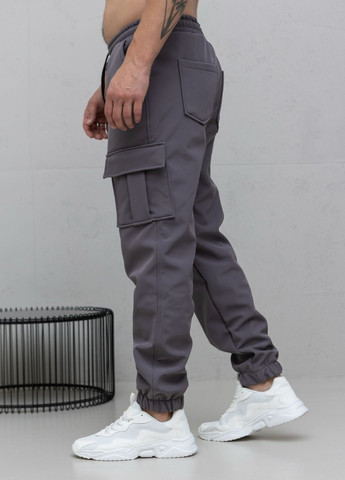 Штани карго Soft Shell утеплені MonsterBrand (369386594)