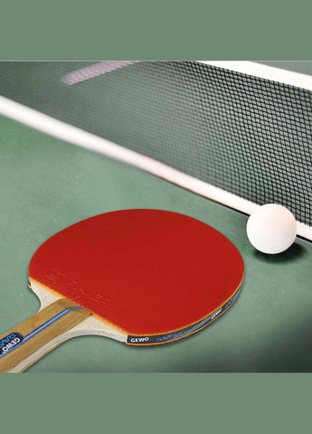 Ракетка для настільного тенісу Rave Speed FL (860100001) GEWO (346535249)