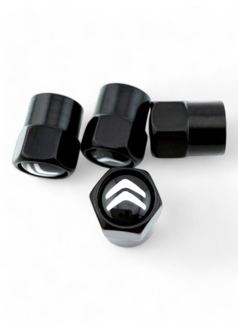 Ковпачки на ніпель металеві (4 шт.) Citroen (354698415)