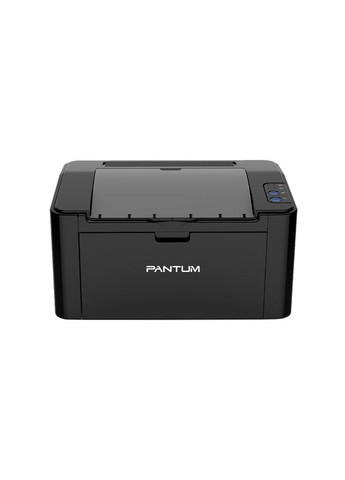 Друкарка А4 P2500W (22 стор/хв, 1200x1200 dpi, Wi-Fi, чорний) Pantum (316152294)