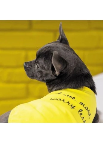 Борцівка «Puppy» для собак, розмір, жовта (*) Pet Fashion (361408806)