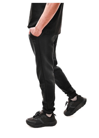 Штани спортивні чоловічі СТИЛЬ-В (370433843)