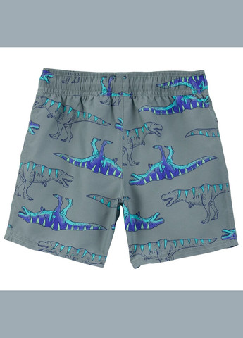 Шорты для купания для мальчика 128-136 см (3S598310_8) Carter's (332123644)