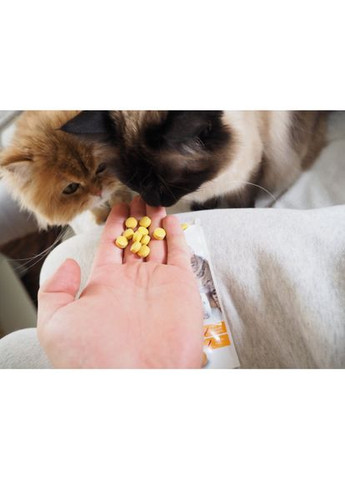 Вітамінізовані таблетки для котів GimCat Kase Rollis сирні кульки, пауч, 425 г Gimborn (338783100)