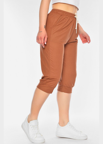 Бриджі жіночі батальні коричневого кольору Let's Shop (322765424)