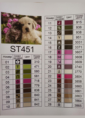 Набор алмазной мозаики 30х40 Котик и собачка ST451 ColorArt (299772315)