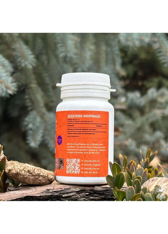 Шиитаке экстракт 10:1 молотый 50 г Лесовик Лісовик (364210578)