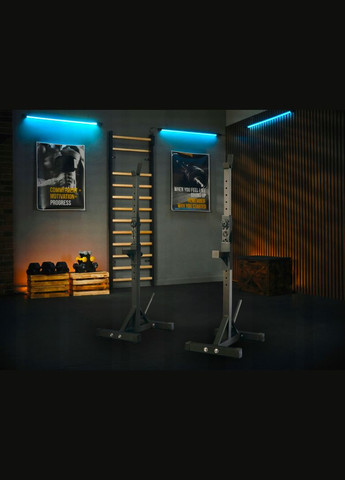 Стойки под штангу TX-090S регулируемые TREX Sport (311949263)