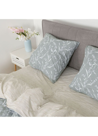 КПБ півтораспальний ранфорс Viluta (369621804)