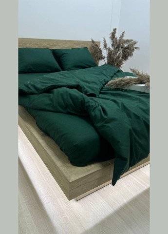 Постельное белье хлопок Двуспальный 180х210 наволочка 50х70 2шт Зеленый (П4К-Post-rus-0022-02-01) No Brand (348095036)