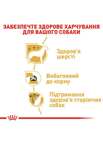 Сухий повнораціонний корм для дорослих собак породи йоркширський тер'єр Yorkshire Terrier Adult у Royal Canin (279561187)