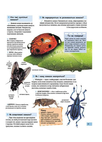 Ілюстрована дитяча енциклопедія у запитаннях і відповідях (9789669473684) Пегас (316084383)