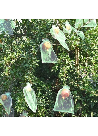 Садовые сетчатые мешочки для защиты плодов 30×20 см двойные завязки набор 10 шт светло-зеленые No Brand (370287186)