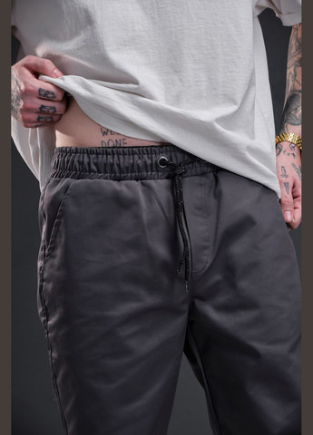 Серые демисезонные брюки Without