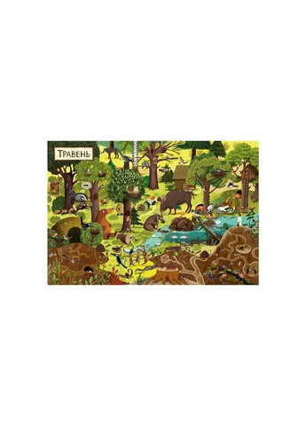 Книга Год в лесу - Эмилия Дзюбак Издательство Старого Лева (9786176792789) Видавництво Старого Лева (314972442)