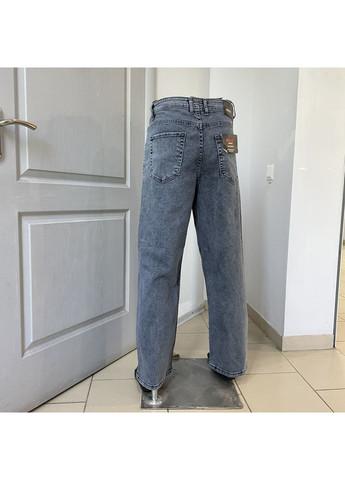 Джинси чоловічі широкі баггі прямі стрейч 29 сірі DESTRY (354332046)