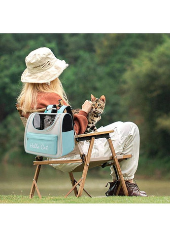 Рюкзак-переноска для тварин Hello Cat для котів і малих порід собак Бежево-Бірюзовий No Brand (351506421)