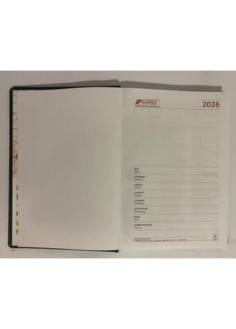 Ежедневник датированный А5 2026 год 176 листов Nuba 3В-55 бирюзовый линия BRISK (361970982)