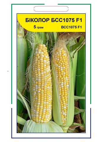 Насіння кукурудзи цукрової Біколор БСС 1075 F1 Syngenta (331900642)