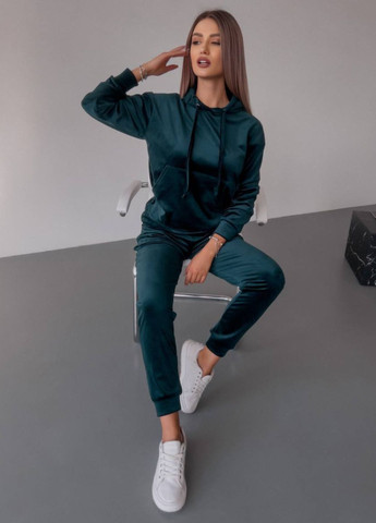 Базовый повседневный велюровый костюм двойка: худые с капюшоном и карманом кенгуру + джоггеры высокой посадки Tik-Tak (324389206)