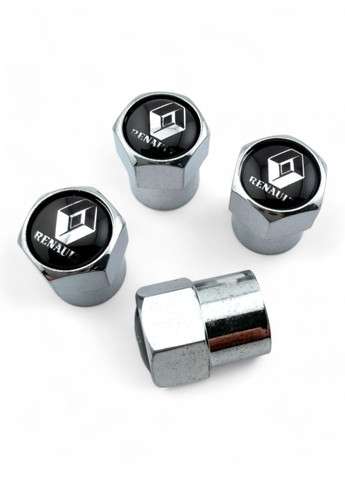 Ковпачки на ніпель металеві (4 шт.) Renault (354698681)