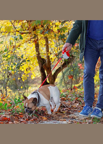 Поводир - рулетка для собак з шнуром Amigo Cord (Ферпласт Аміго Корд) 15 x 3.6 x h 14 cм - M, Червоний Ferplast (298053769)