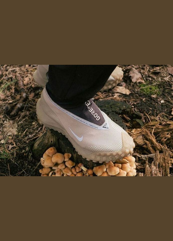 Хакі кросівки acg mountain fly gore-tex khaki beige — ct2904-200 Nike