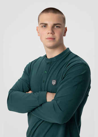 Зеленый демисезонный джемпер однотонный мужской 3734 Zinzolin