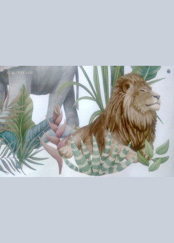 Вінілові наклейки на стіну Звіри та птахи в лісі (лист 60 х 100 см) Б475-1 No Brand (302241928)