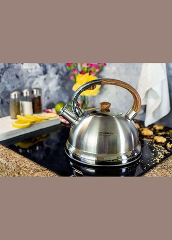 Чайник из нержавеющей стали 3.0 л EB-2446 Edenberg (334881097)