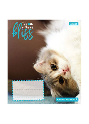 Тетрадь 12_л. КОСА линия " "/ Bliss 1 Вересня (344585682)