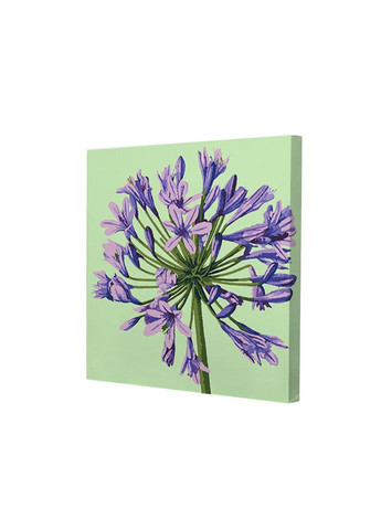 Картина по номерам, комплект из 3-х картин Лиловые лепестки см. (RB-1149) Riviera Blanca (335413769)