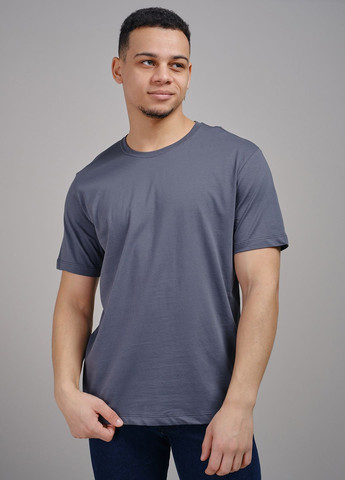 Сіра футболка чоловіча сіро-синя 342804 Power