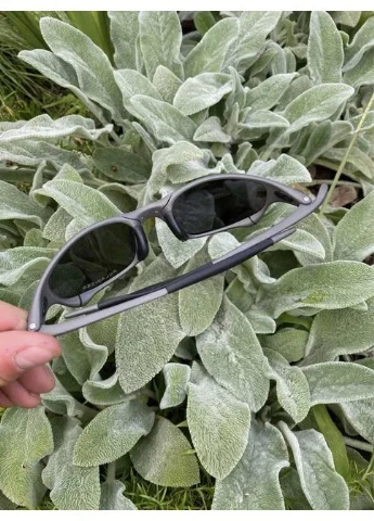 Очки Солнцезащитные очки Prizm Oakley (390649770)