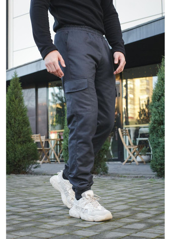 Чоловічі штани карго на флісі з накладними кишенями графіт Intruder (372111054)
