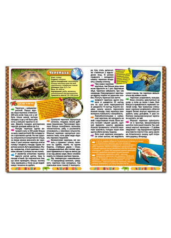 Большая энциклопедия о животных. Удивительные факты (Большая энциклопедия) Глорія (297214732)