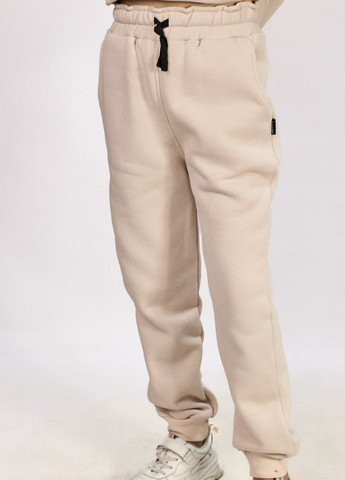 Спортивный костюм тринитка на флисе Aygi (303726327)