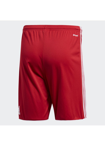 Спортивные шорты adidas (361306453)