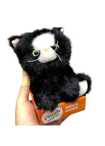 Мʼяка іграшка Plush and Co КОТИК (СІРИЙ) 12 см МІС (369156420)
