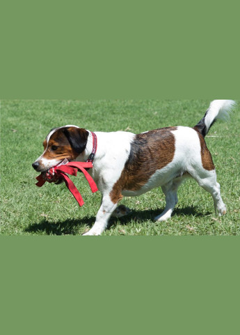 Іграшка для собак Cowboyz червона М 31 см 4289707 ROGZ (269341775)