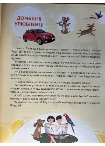 Книга Букварик для небайдужих. 1 клас - Уляна Добріка Видавництво Старого Лева (384316076)