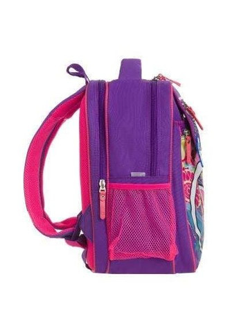 Рюкзак школьный Bagland Отличник 20 л. 170 фиолетовый 502 (0058066) (66318029) (1395060) Brand (368865241)