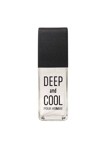 Туалетна вода чоловіча Deep and Cool Best 100 мл Avalon (333695177)