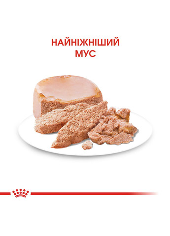 Влажный корм для новорожденныx собак Starter Mouse 0.195 кг (9003579311462) (4077002) Royal Canin (317171219)