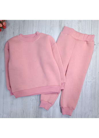 Персиковый зимний костюм утепленный для девочки тринитка на флисе No Brand