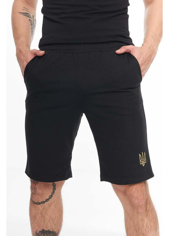 Шорты Intruder (304771164)