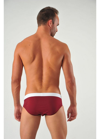 Мужские бордовые пляжные плавки пляжные 1322s2 брифы Geronimo