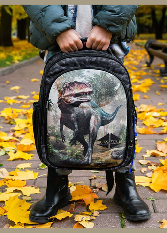 Ортопедический школьный рюкзак (ранец) для мальчика серый с Динозавром /SkyName 37х29х18 см для первоклассника (R4-415) Winner (293504277)